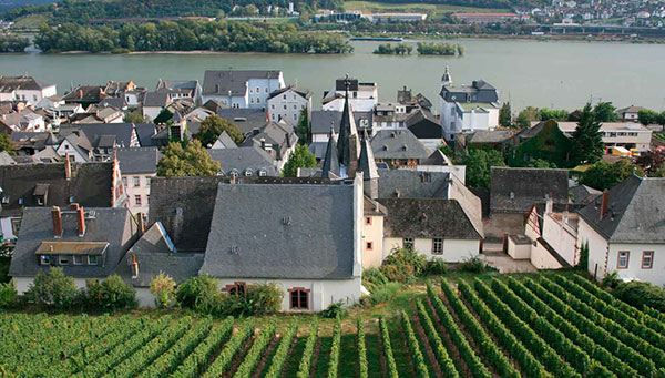 Rudesheim: The agrarian capital of the Rhine Valley.