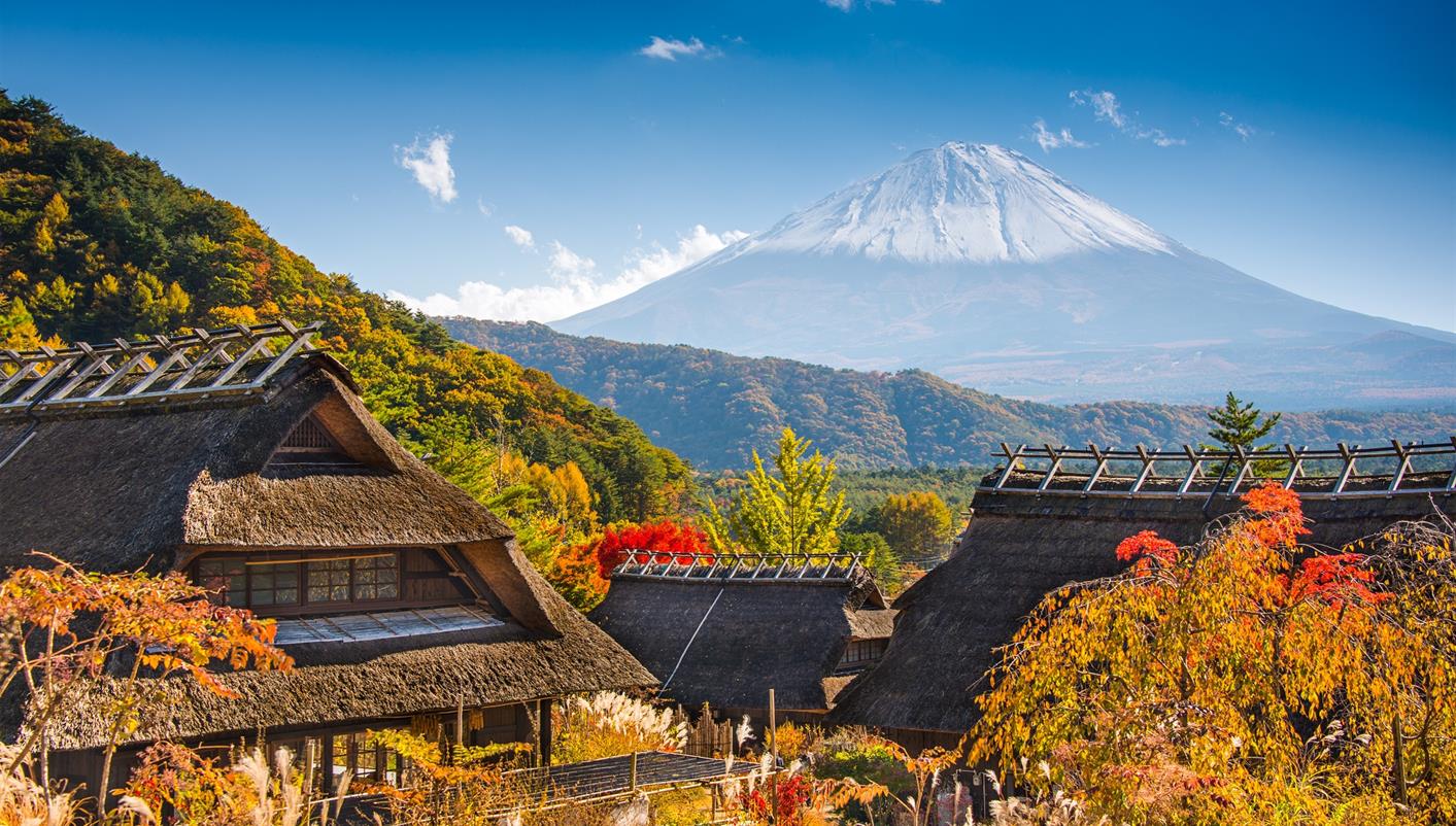 Evening Transfer and Restaurants Contrasts of Japan - Asia and Oceania