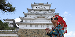 Osaka - Himeji- Korakuen Garden- Okayama.